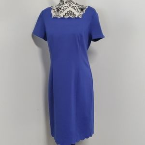 NWT Talbot's Blue Business/Casual Midi Short-Sleeved Square Neckline Dress